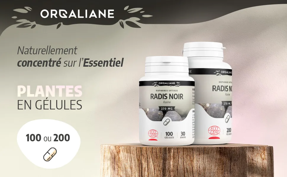 Organic Black Radish 270 mg - 100 capsules - Ecocert Certified - Orgaliane - Radis noir image 1