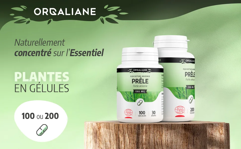 Organic Horsetail 190 mg - 200 capsules - Orgaliane - Prêle image 1