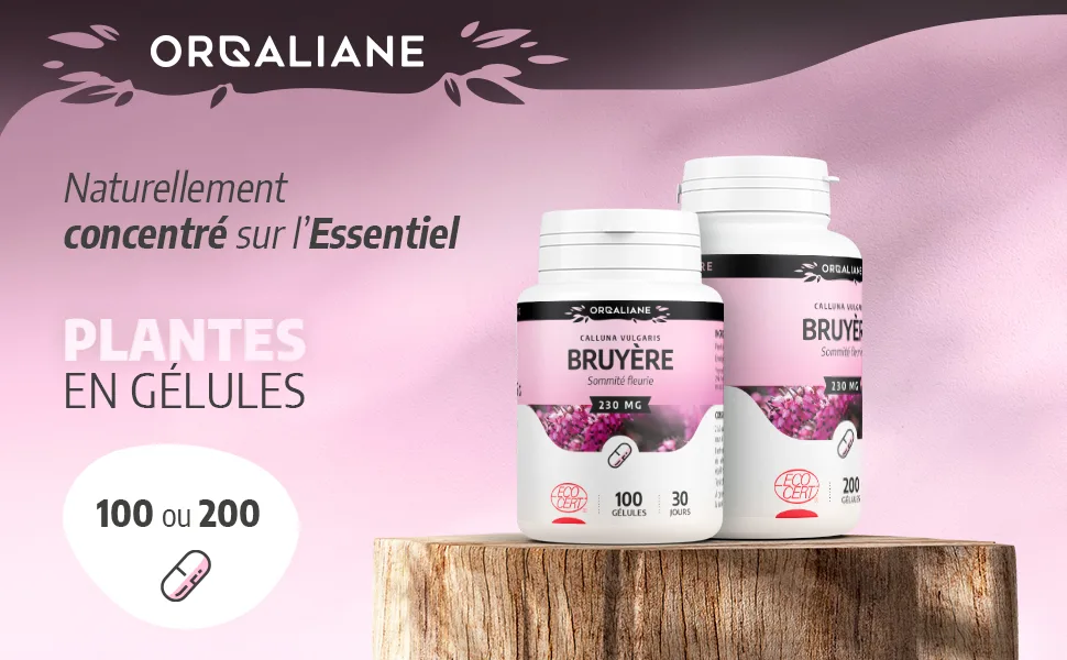 Organic Heather 230 mg - 200 capsules - Ecocert certified - Orgaliane - Bruyère image 1