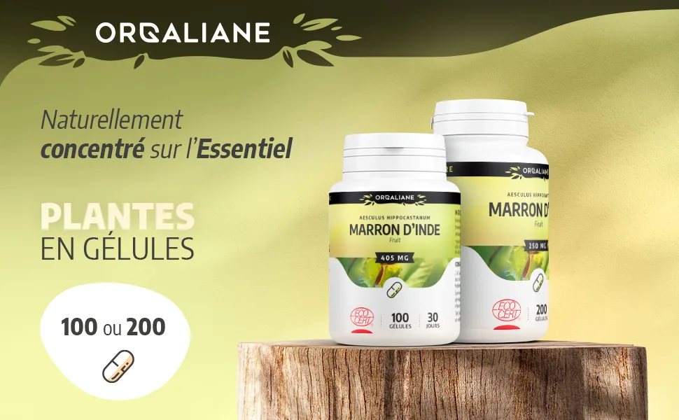 Horse Chestnut Ecocert - 250 mg - 100 capsules - Orgaliane - Marron d