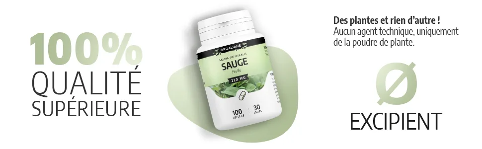 Bear Garlic 280 mg -180 capsules - image 4