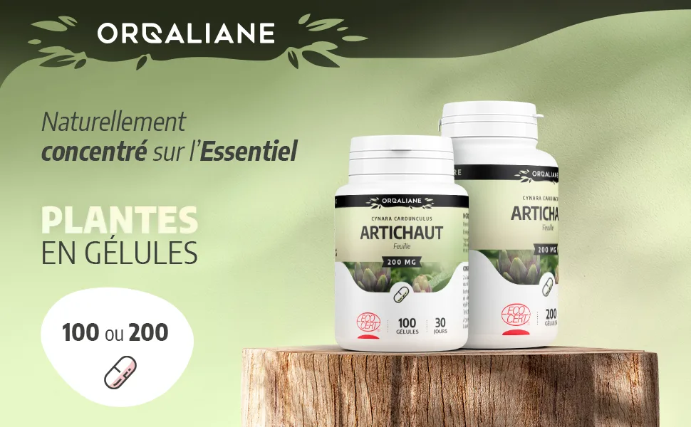 Artichoke 200 mg - 200 capsules - Ecocert certified - Artichaut image 1
