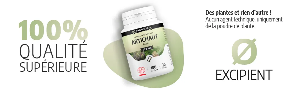 Artichoke 200 mg - 200 capsules - Ecocert certified - Artichaut image 4