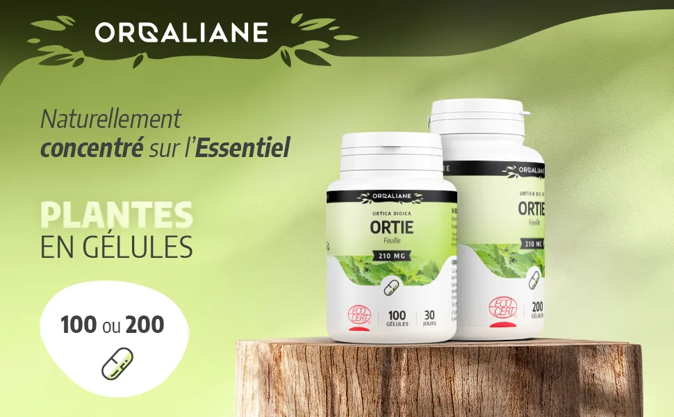 Organic Nettle Leaf 230 mg - 200 Capsules - Ecocert Certified - Orgaliane - Ortie feuille image 1