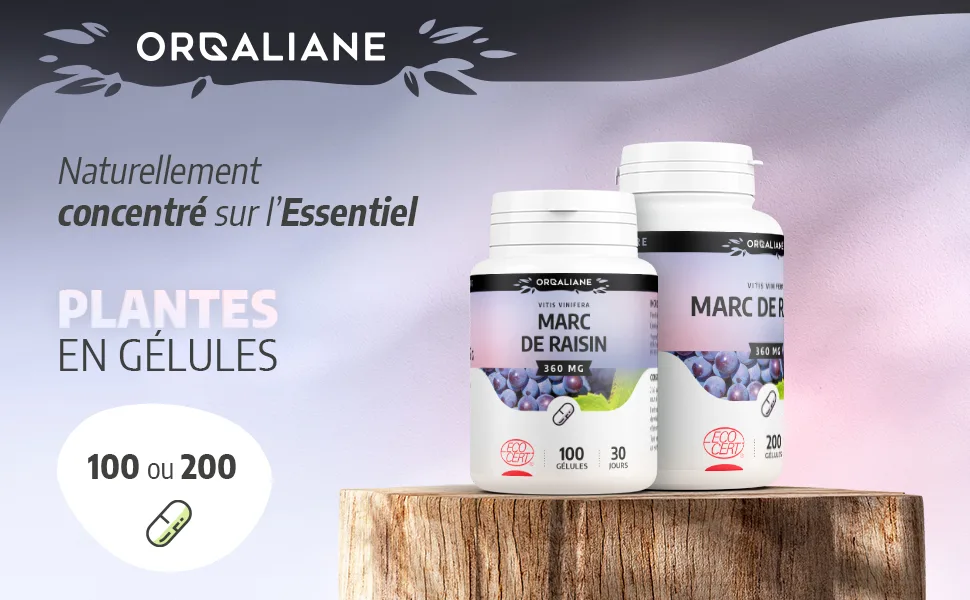 Grape Marc 360 mg - 200 capsules - Ecocert certified - Marc de raisin image 1
