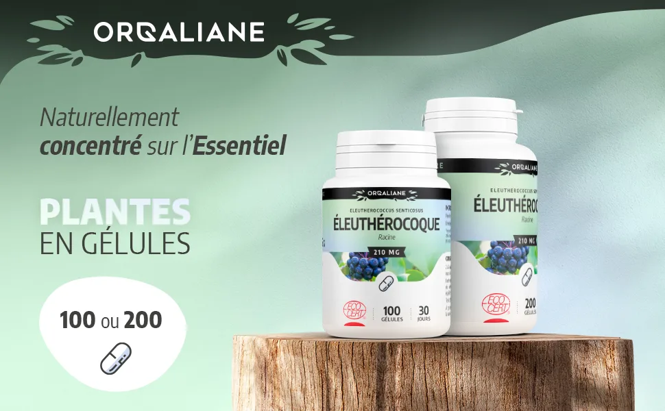 Eleutherococcus 210 mg - 200 capsules - Ecocert certified - Eleuthérocoque image 1