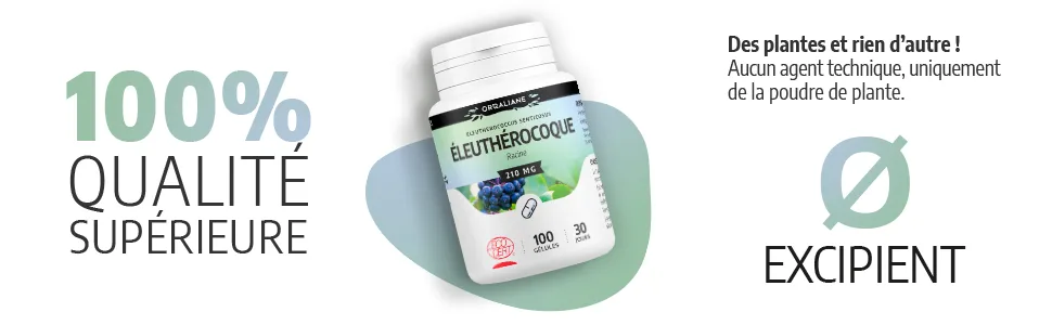 Eleutherococcus 210 mg - 200 capsules - Ecocert certified - Eleuthérocoque image 4