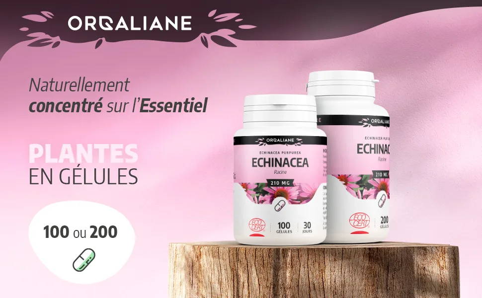 Echinacea Organic 210 mg - 200 Capsules - Ecocert Certified - Orgaliane - Echinacea image 1