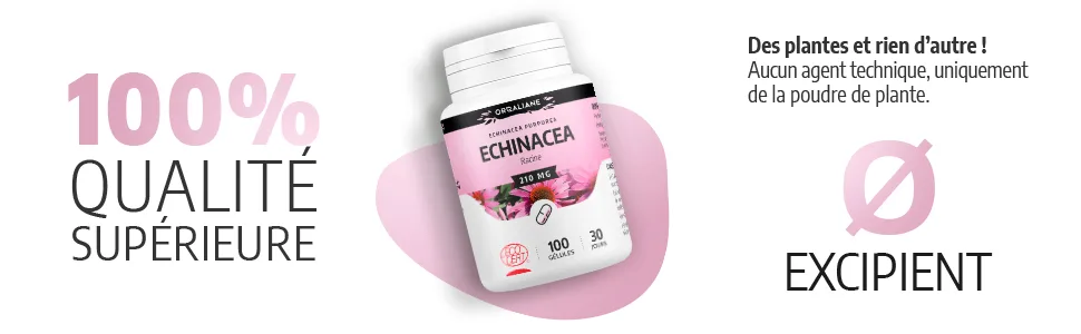 Echinacea Organic 210 mg - 200 Capsules - Ecocert Certified - Orgaliane - Echinacea image 4