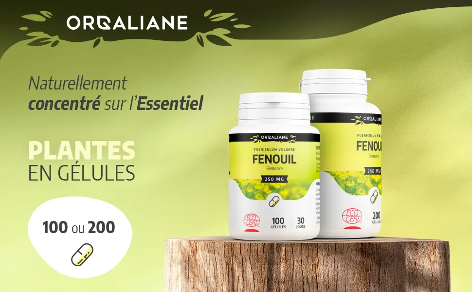 Fennel 250 mg - 200 capsules - Ecocert certified - Fenouil image 1