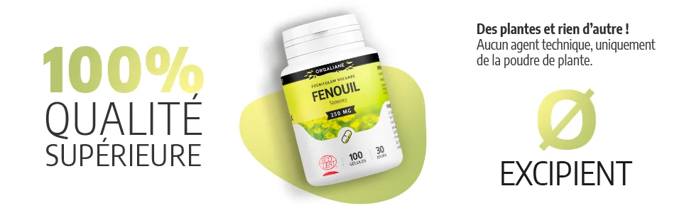 Fennel 250 mg - 200 capsules - Ecocert certified - Fenouil image 4