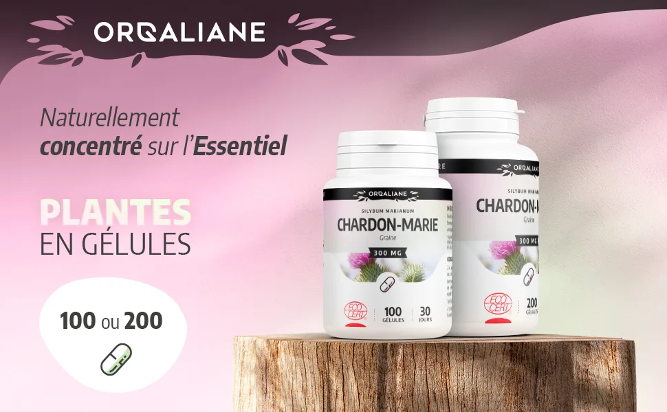 Milk Thistle 300 mg - 200 capsules - Ecocert certified - Chardon-Marie image 1