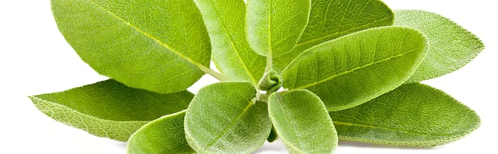 Sage - 500 mg - 200 tablets - product information 6