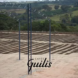 CAFES GUILIS FROM 1928 AMANDES DEL CAFE Decaffeinated Coffee Beans Intense Natural Blend 1 Kg - cafe