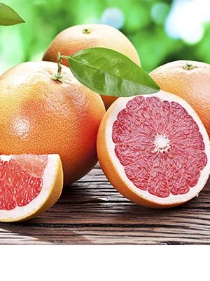 Organic Grapefruit Seed Extract 800mg - 50ml - (EPP) - product information 3