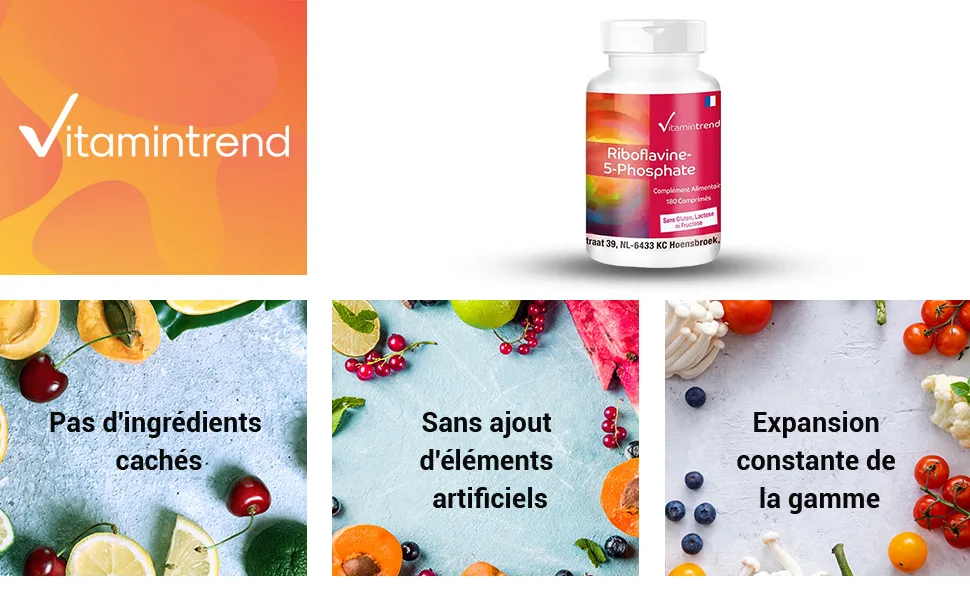 Vitamin B2 Tablets - 180 Tablets - High dosage - Riboflavin-5-Phosphate | Vitamintrend  - product information 1