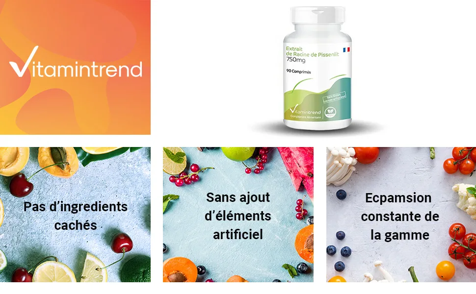 Dandelion Root Extract 750mg - with 750mg Dandelion Root Extract 10:1-90 Tablets - Highly Dosed - Vegan - Bioavailable Supplements from Germany | Vitamintrend - product information 1