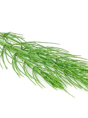 Horsetail - 600 mg - 200 tablets - product information 4