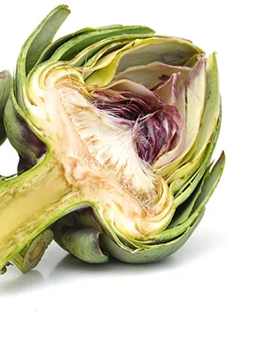 Artichoke - 500 mg - 200 tablets - product information 3