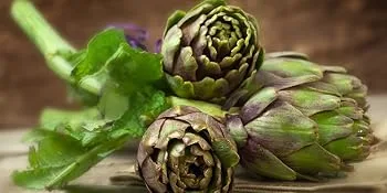 Artichoke - 500 mg - 200 tablets - product information 4