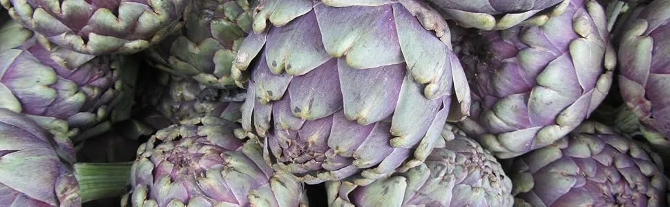 Artichoke - 500 mg - 200 tablets - product information 7
