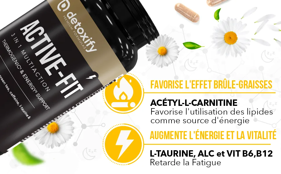 Detoxify Active-Fit | Powerful Fat Burner | L-Carnitine Green Tea | Fast and Effective Weight Loss | 60 Capsules | 30 Days - Brule-Graisses