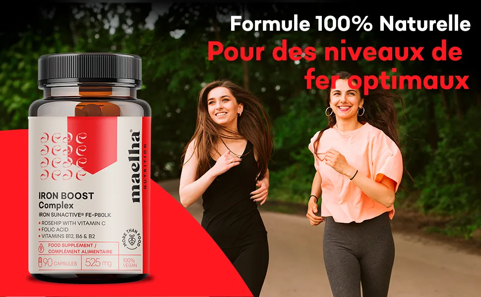 SunActive Iron Dietary Supplement Fe-P80LK Rosehip Complex with Vitamin C Folic Acid Vitamins B12 B6 and B2 90 Capsules - complément fer bisglycinate, complément fer et vitamine c, fer medicament, fer complement