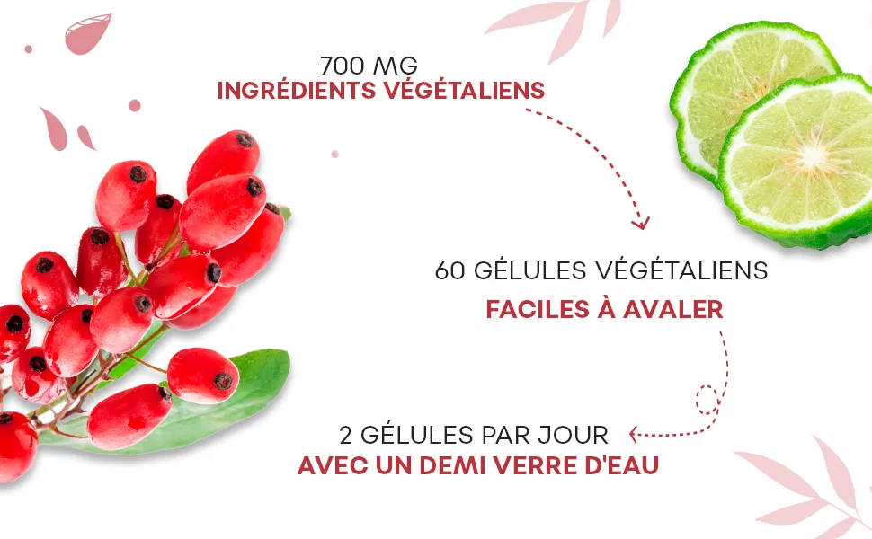 Naturalip Control | Fermented Red Rice Supplement | Helps Maintain Normal Cholesterol and Triglyceride Levels | High Concentration | 60 Capsules | 100% Vegan - riz rouge gelules