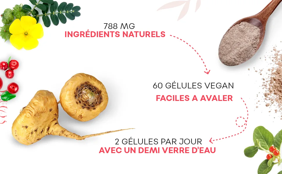 Maca and Tribulus Complex | Concentrated Extract| Energy | 100% Natural - tribulus libido, maca comprimés, maca gelules ,maca libido homme, maca 500mg, maca fertilité,