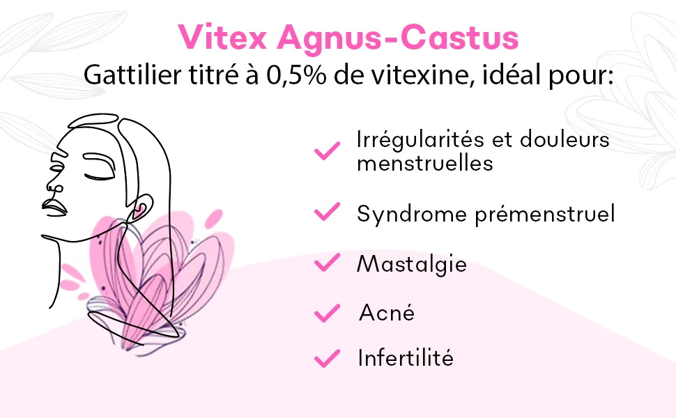 Vitex Agnus-Castus | Chatthouse Concentrated Extract | Menstrual and Premenstrual Pain | 60 Capsules | 100% Natural - gattilier gelule, gattilier feuille, gatillier, vitex, vitex agnus, vitex fertilité