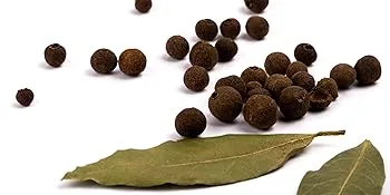 Plan te au Naturel Organic Turmeric and Black Pepper 300mg - 200 Vegetable Capsules - product information 4