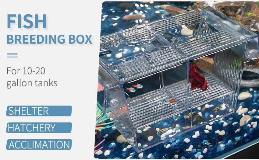 Pawfly Fish Breeding Box Tank Hatchery Incubator Aquarium Isolation Box for Baby Shrimp Guppy Medium - product information 15