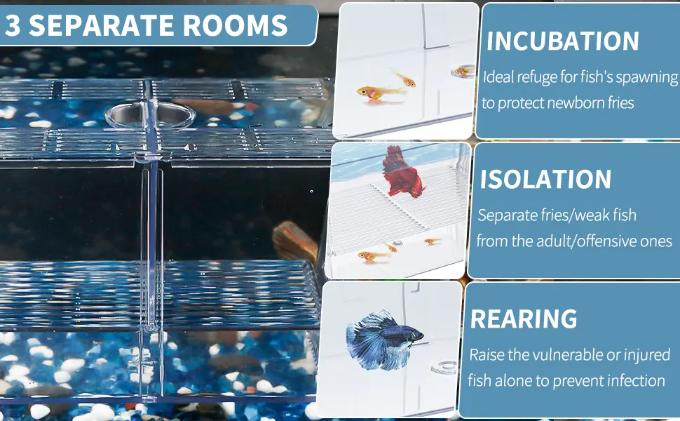 Pawfly Fish Breeding Box Tank Hatchery Incubator Aquarium Isolation Box for Baby Shrimp Guppy Medium - product information 16
