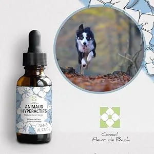 Bach flower advice - Hyperactive Animal Floral Elixir - An Effective Mix - Soothe Channel and Calm Your Dog or Cat 30ml Pack of 2 - ANIMAUX HYPERACTIF