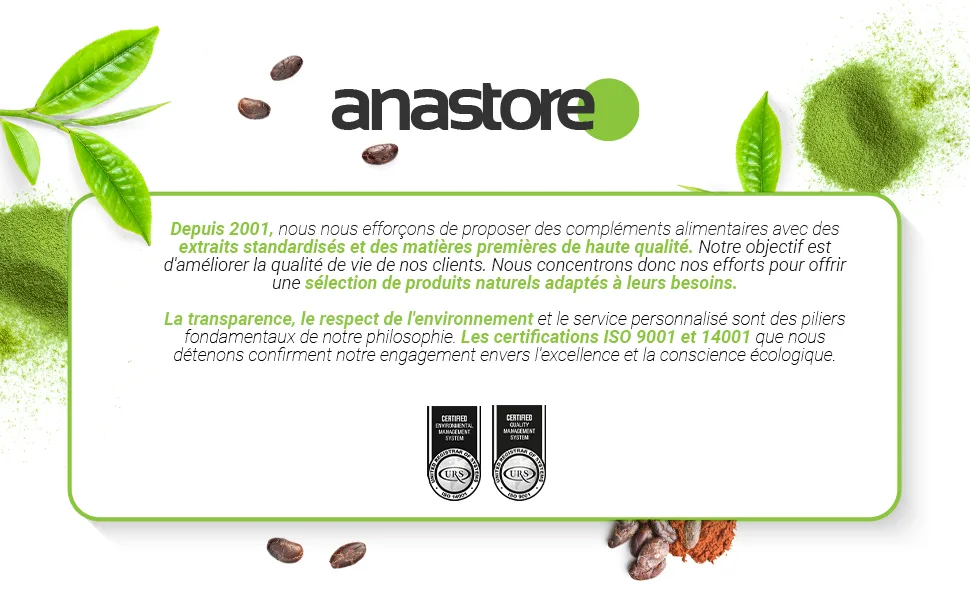 Iron and Vitamin C * 90 vegetable capsules * Energy + Immune system + Hemoglobin formation + Memory + Bioavailability - ANASTORE 1 FR