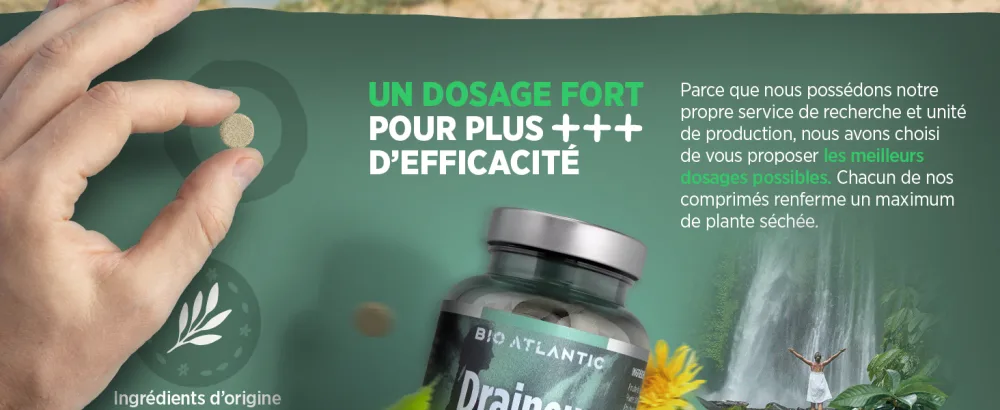 Plant Complex - Organic Drainer - 431 mg - Dandelion Artichoke Black Radish Linden Sapwood - 200 Tablets - product information 3