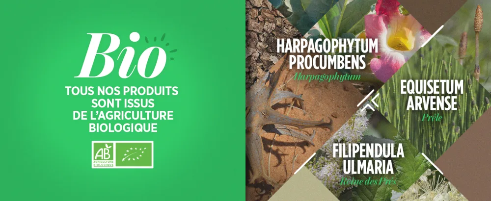 Organic Joint 400 mg - 120 tablets - Harpagophytum Horsetail Meadowsweet - product information 5