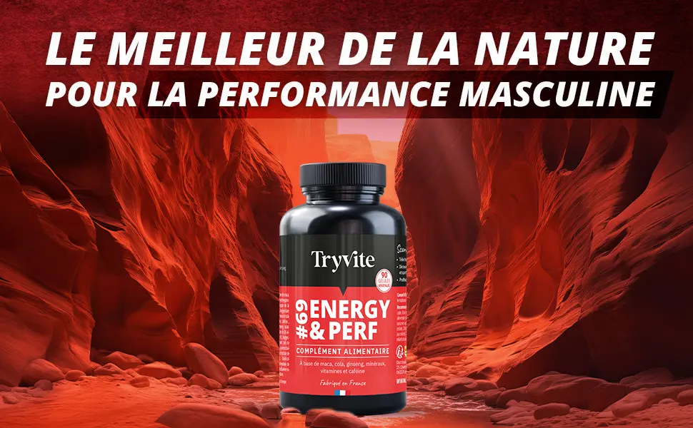 Men's Testosterone Formula | Men's Performance | Strength Energy Endurance | 90 Capsules for Blood Circulation | Ginseng MACA - Cola - Vitamins and Minerals | TRYVITE Energy & Performance - formule homme , aphrodisiaque , testosteronne stiumlant sexuel viagra cialis