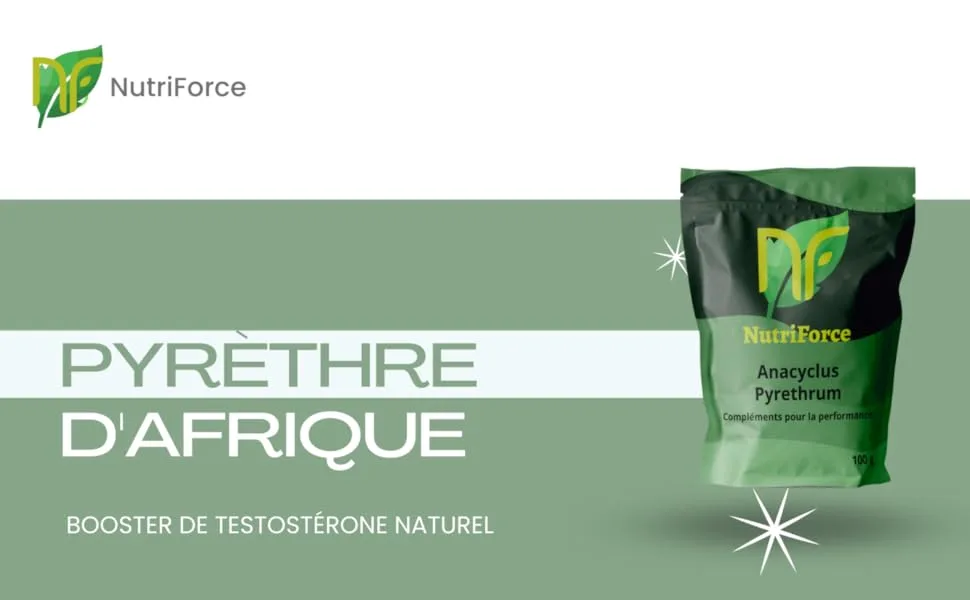 African Pyrethrum (Anacyclus Pyrethrum/Akarkara) - Root Powder - 100g - Présentation du Pyrèthre d