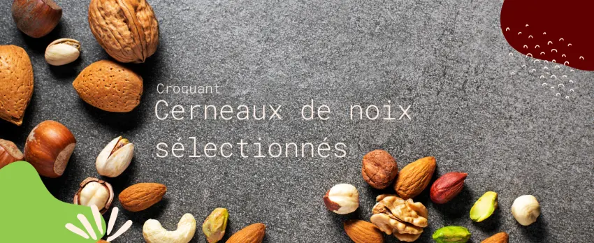 Kamelur Organic dried apricots without additives unsulphurized and unsweetened soft fruits 1 kg (Pack of 1) - Cerneaux de noix sélectionnés