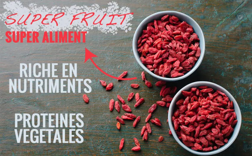 Organic Goji Berries Tibetan Region - 500G - SUPER FRUIT