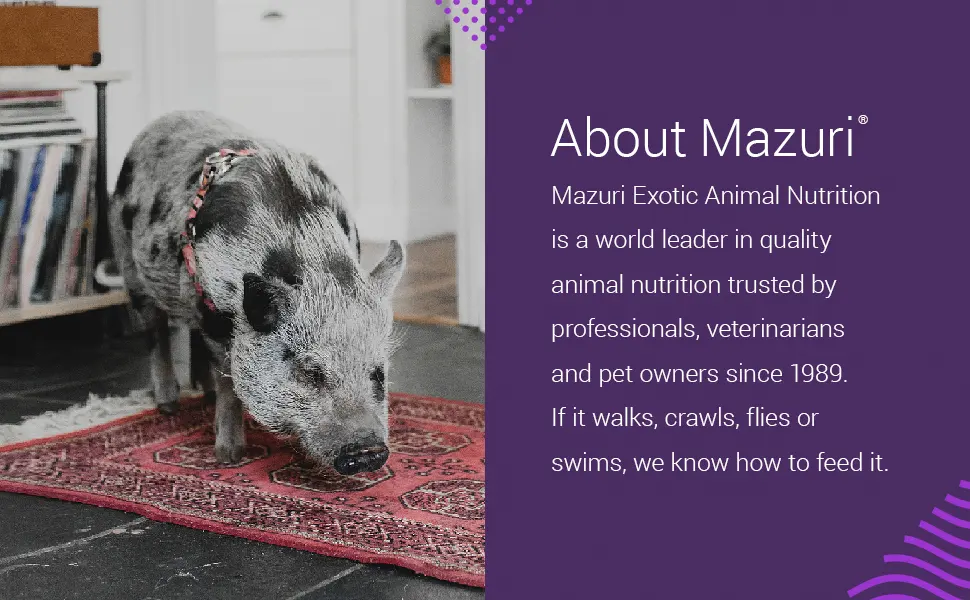 Mazuri | Nutritionally Complete Aquatic Turtle Food | Freshwater Formula - 12 Ounce (12 oz) Bag - About Mazuri