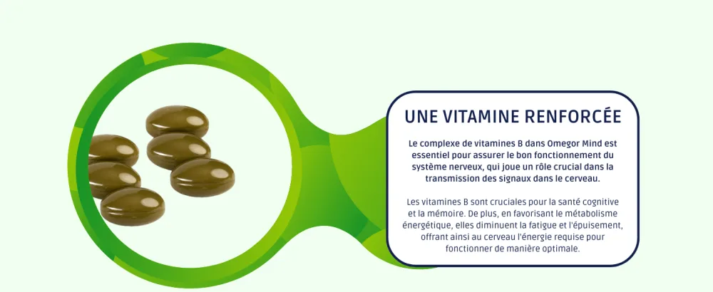 OMEGOR Mind | Supplement for memory and cognitive functions | With Omega 3 DHA and Bacopa Monnieri extract borage oil zinc and B vitamins | Molecular distillation TG form | - omegor mind fr