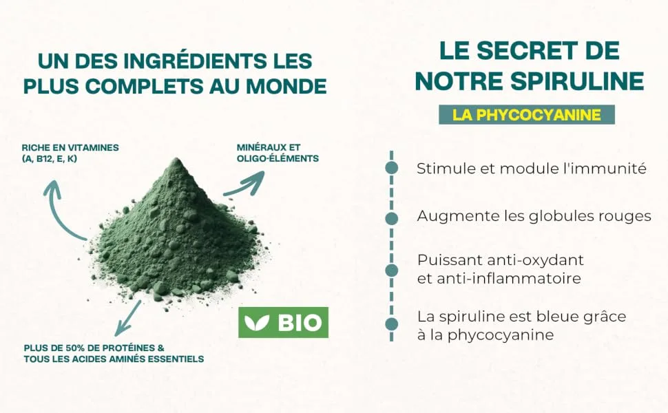 PHYTO-ACTIVE | Spirulina | Immunity & Vitality Supplement | Phycocyanin & Vegetable Proteins | Natural Spirulina | 150 Tablets - PHYTO ACTIF