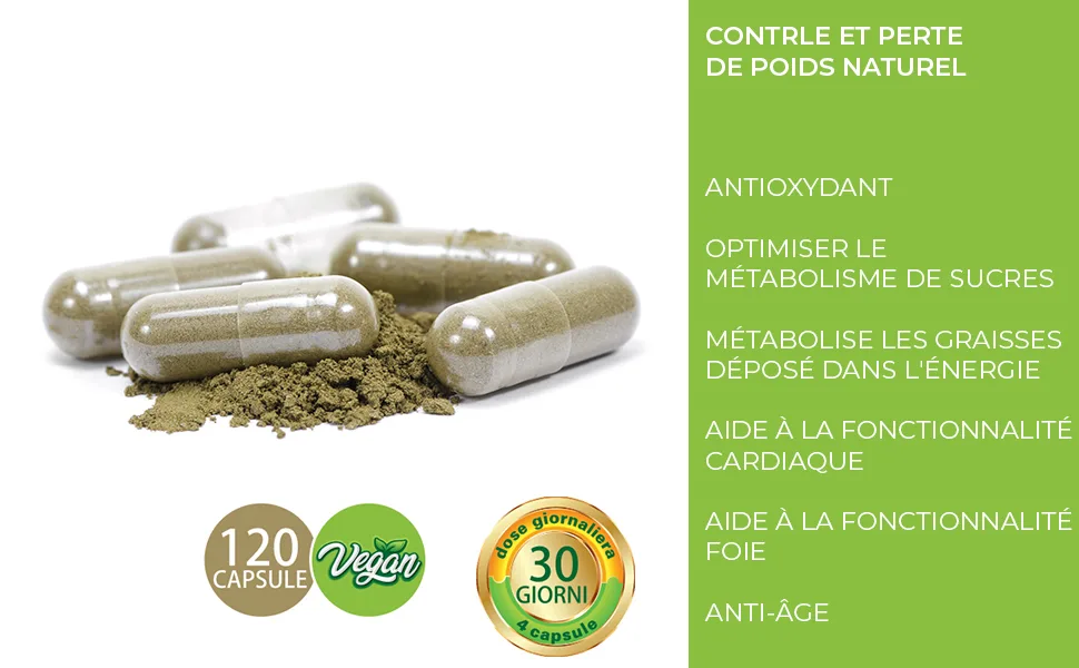 J.Armor Thermogenics 120 Powerful Fat Burner Capsules | Weight Loss | Fast & Effective | Slimming | Fat Burning | L Carnitine The Green - THERMOGENICS