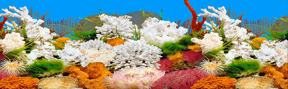 ELEBOX New 20" x 48" Fish Tank Background 2 Sided River Bed & Lake Background Aquarium H:19.5"x L:48" A - Aquarium poster