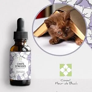 Bach Flower Advice - Bach Flowers Stressed Cat A Blend That Will Help Your Cat Calm Down 10 ML Bottle - chat stresse