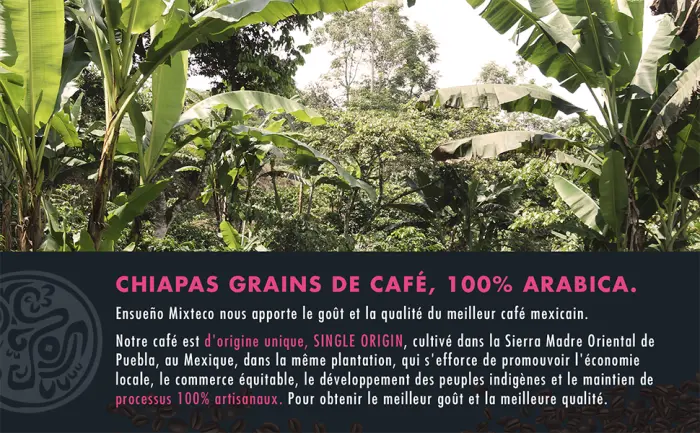 Ensue o Mixteco Specialty Coffee Beans | 100% Arabica Medium Body and Artisanal Production | 460 grams Mexican Origin - CHIAPAS Grains de café, 100% Arabica, ENSUEÑO MIXTECO