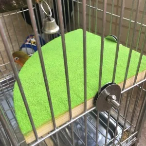 KINTOR Bird Perch Stand Birdcage Platform for Small Medium Parrot Rat Small Animal 7inch Green - Bird Perch Stand Birdcage Platform for Small Medium Parrot Rat Small Animal
