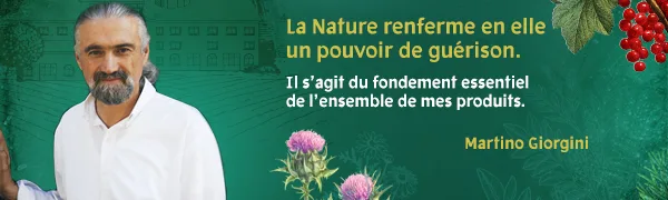 Dr. Giorgini Milk Thistle Complete Extract - 200 ml (Milk Thistle dietary supplement 100% alcohol-free) - Martino Giorgini TOP FR